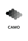 Camo Tip Icon