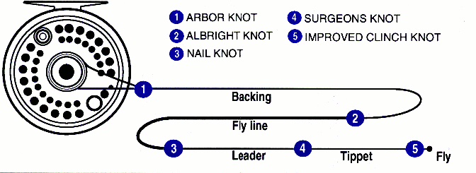 leader tippet diagram