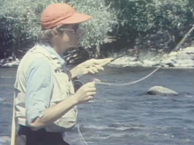 Feeder Stream — The Living River