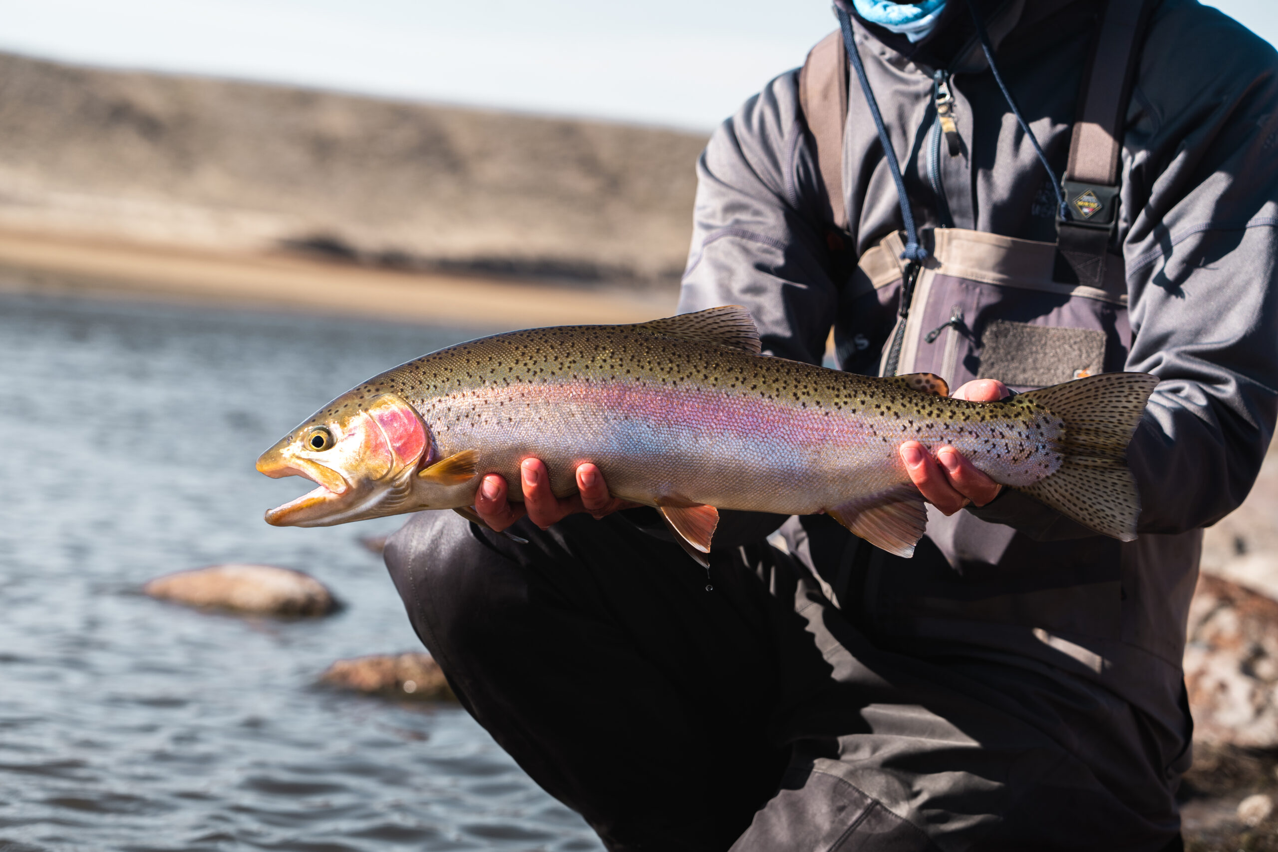 Alex with a nice rainbow trout