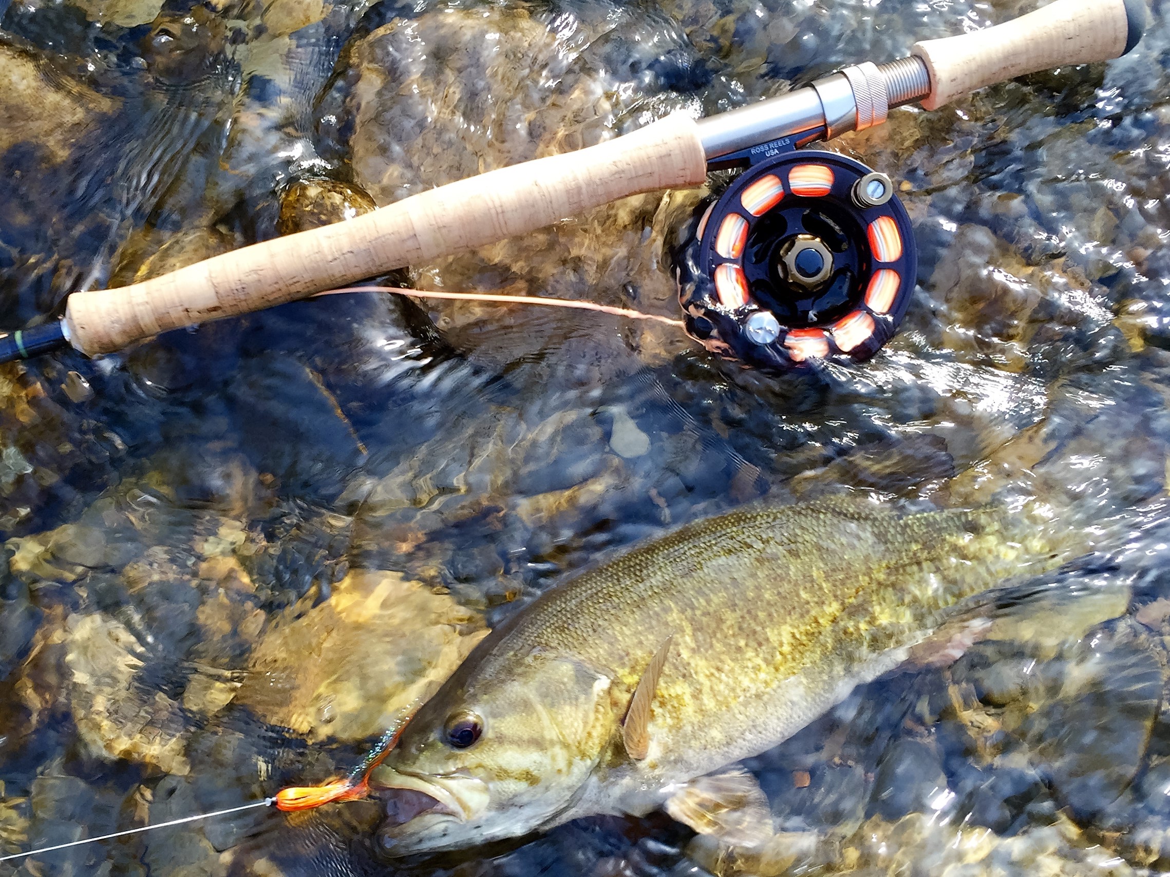 smallieonswing (2) Smallmouth bass on spey