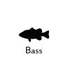 Bass