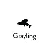 Grayling
