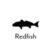 Redfish