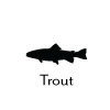 Trout