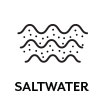 Saltwater